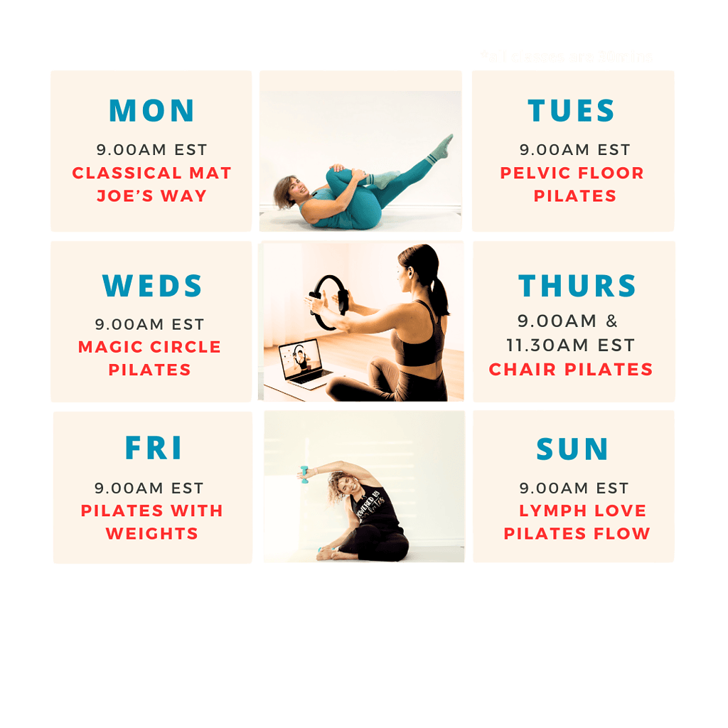 LOVJOY PILATES - BE YOUR BEST SELF - English 4 online classes program